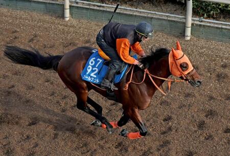 　軽快なフットワークで駆け上がるオールナット