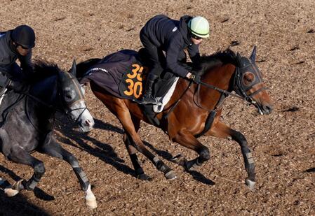 　美浦坂路の併せ馬で先着を決めたアメテュストス（右）