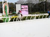 重賞初勝利を挙げたスマートアンバー（撮影・中山伸治）