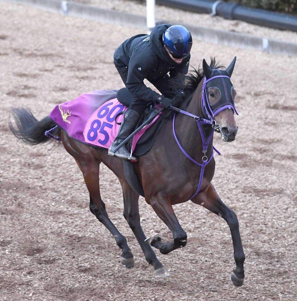 　ルージュラベル