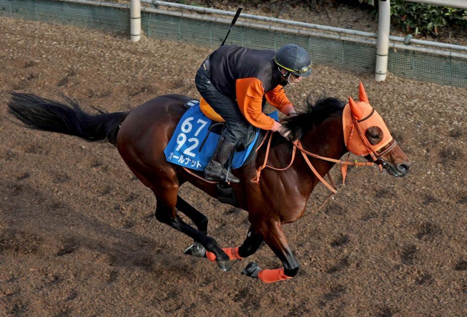 　軽快なフットワークで駆け上がるオールナット
