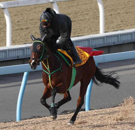　美浦Ｗで軽快なフットワークを披露したライラック