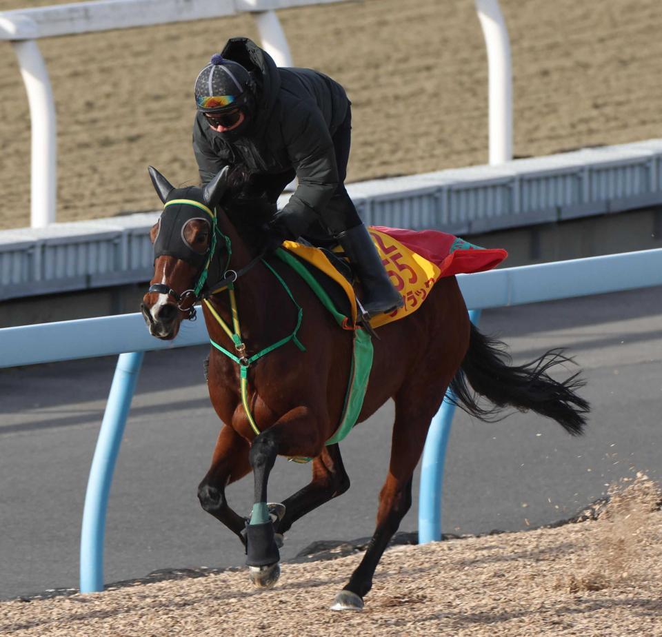　美浦Ｗで軽快なフットワークを披露したライラック