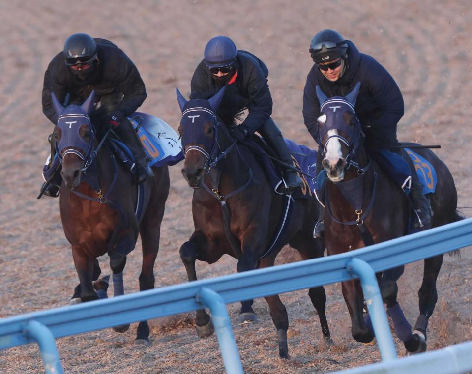 　３頭併せで好ムードを漂わせたソラネルマン（中央）＝撮影・佐々木彰尚