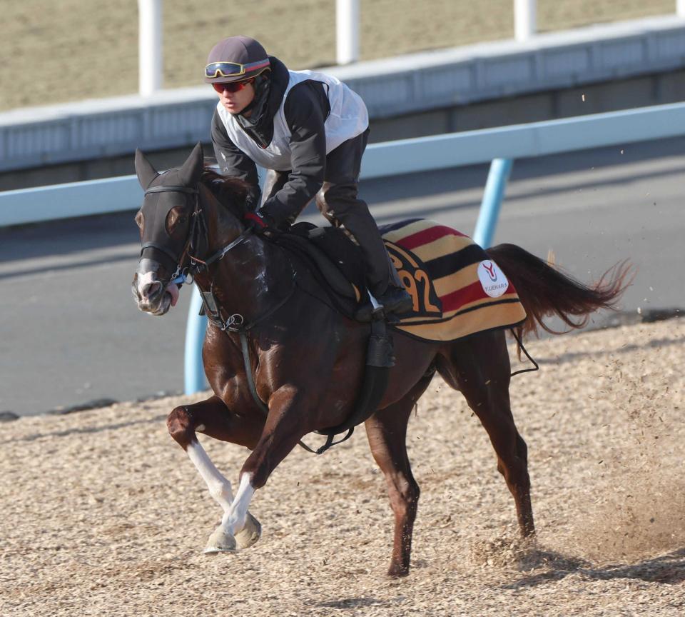 　美浦Ｗで弾むような動きを見せたグリーンエナジー