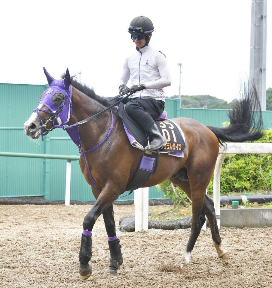 　ナチュラルライズ