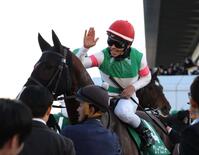 　京成杯を制したグリーンエナジーをねぎらう戸崎圭（撮影・佐々木彰尚）