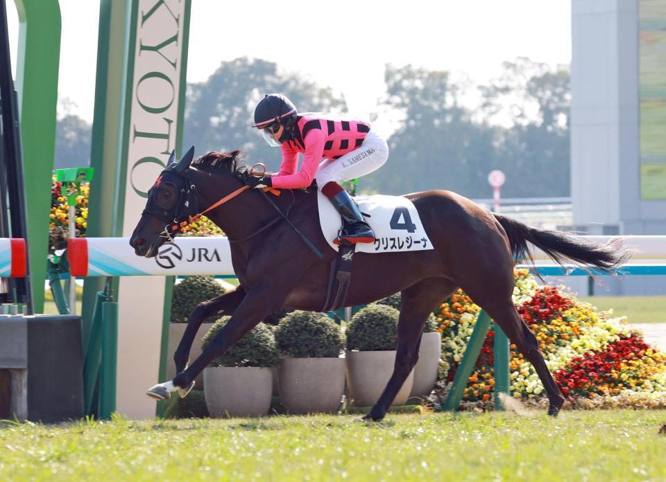　新馬戦を快勝したクリスレジーナ（撮影・石湯恒介）