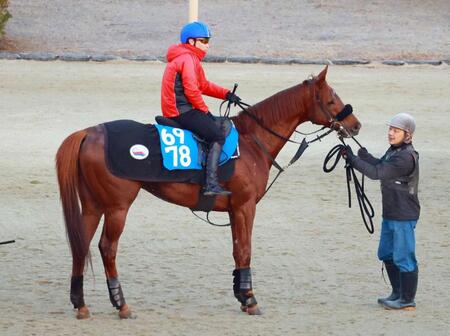 　重賞初制覇を目指すサイモンザナドゥ