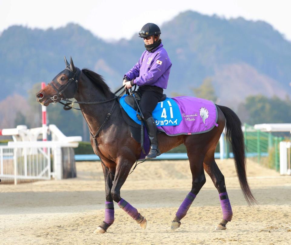 　強い４歳世代の一角ショウヘイ