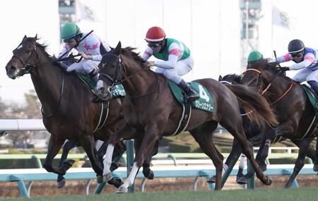 京成杯を制したグリーンエナジー＝１月１８日