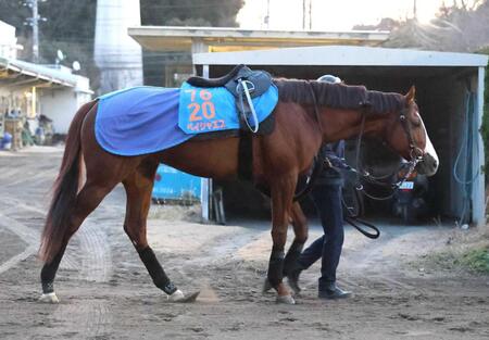 久々の実戦で重賞４勝目を狙うペイシャエス
