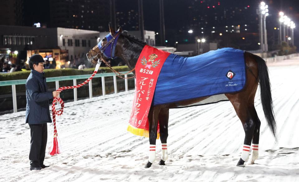 ブルーバードカップを制したフィンガー