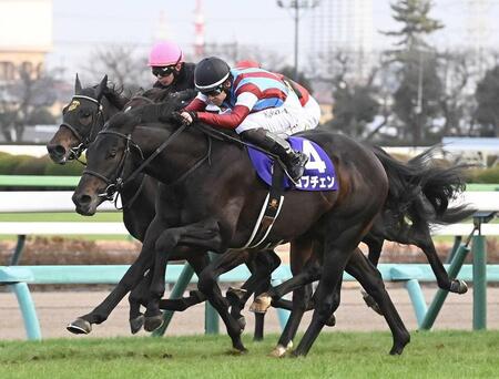 ホープフルＳ覇者ロブチェンは引き続き松山とのコンビで共同通信杯へ　皐月賞＆ダービーのローテを予定