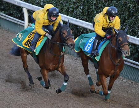 坂路で追い切ったココナッツブラウン（左）