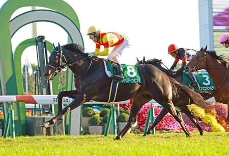 京都２歳Ｓを制したジャスティンビスタ＝２５年１１月