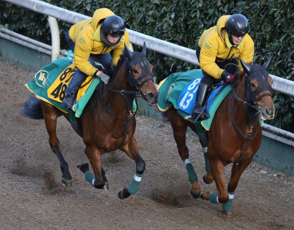 坂路で追い切ったココナッツブラウン（左）