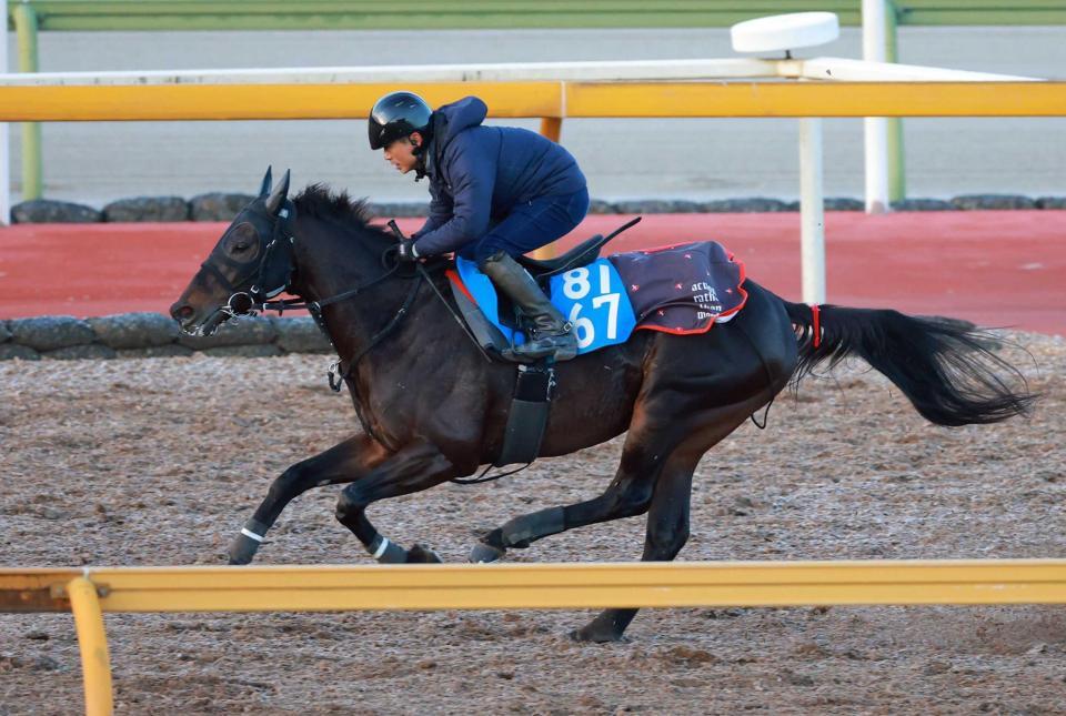 　悲願の重賞初勝利へ態勢を整えるロードクロンヌ