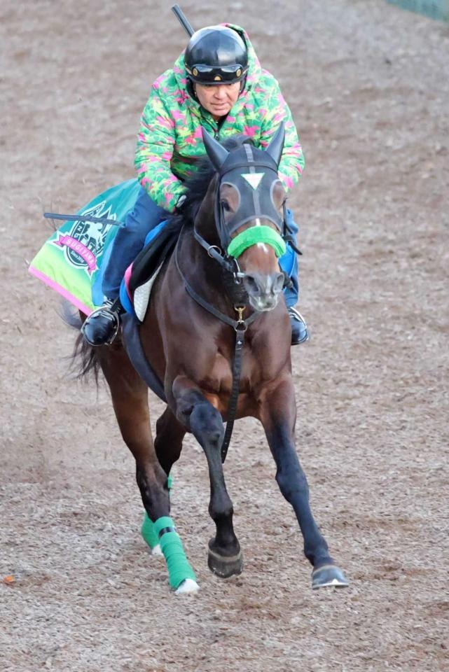 　万全の状態をアピールしたジョバンニ（撮影・坂部計介）