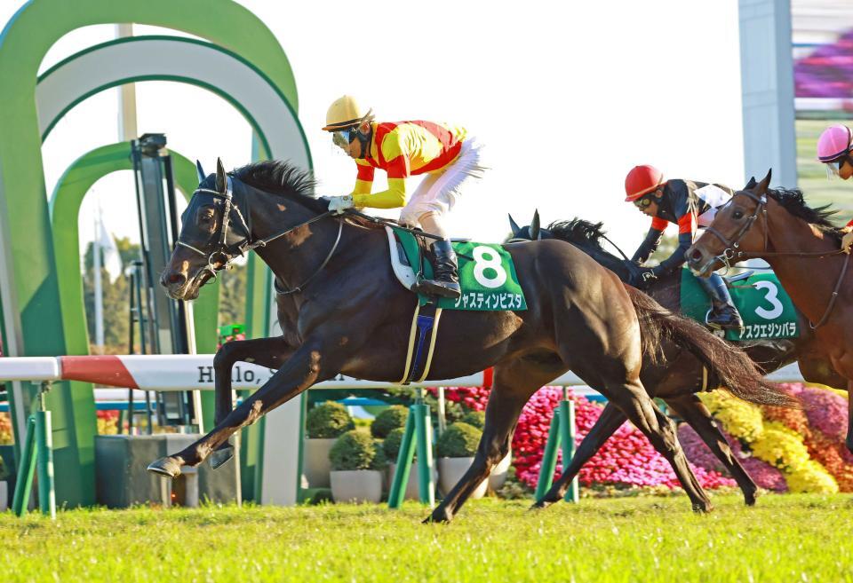 京都２歳Ｓを制したジャスティンビスタ＝２５年１１月