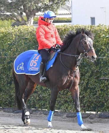　長年コンビを組むノースブリッジとＡＪＣＣに臨む岩田康（撮影・持木克友）