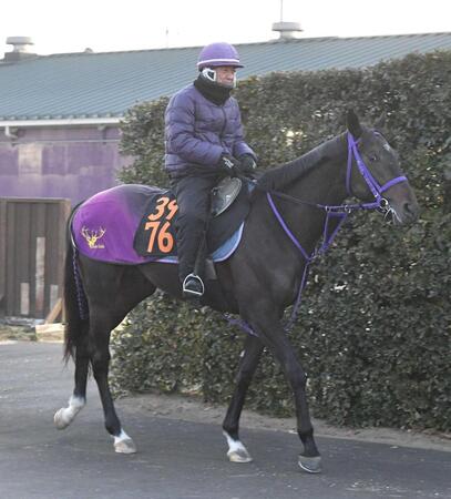 【新馬戦】アナザーフェイス　キングを背に偉大な兄・マスカレードボールを追う　鹿戸師「だいぶ良くなっている。実戦向きだと思う」