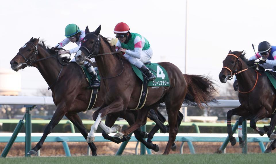 京成杯を制したグリーンエナジー（中央）