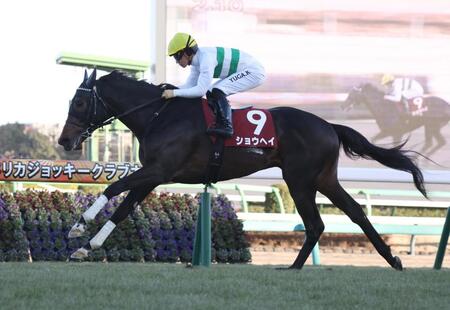 ＡＪＣＣを勝利したショウヘイ