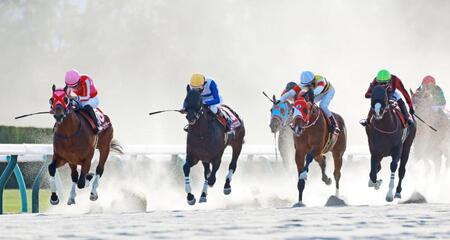 粘るサンデーファンデー（左端）を捉えるロードクロンヌ（中央）＝撮影・石湯恒介