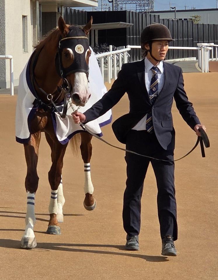 デビュー戦を飾ったホーナー