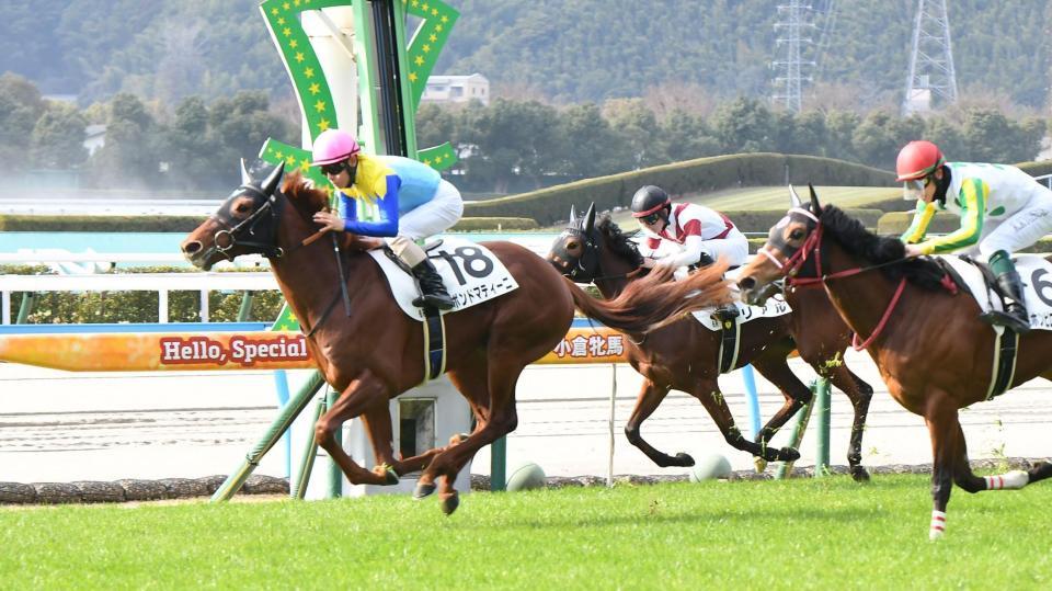 １着でゴールするボンドマティーニ