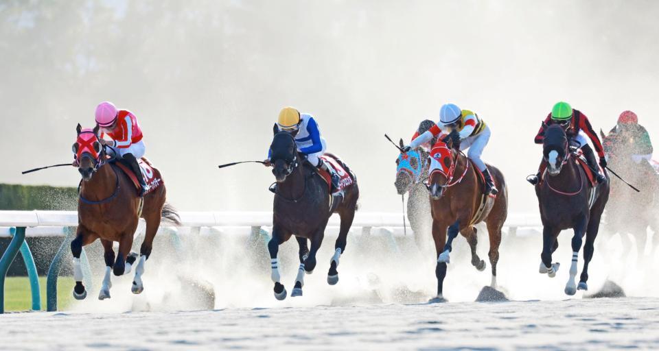 粘るサンデーファンデー（左端）を捉えるロードクロンヌ（中央）＝撮影・石湯恒介