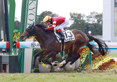 【新馬戦】ペイジャー　ゴール寸前で差し切りＶ　福永師苦笑「粗削りの極み」も今後に期待