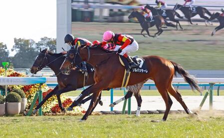 　河津桜賞を制したソルパッサーレ（手前）＝撮影・石湯恒介