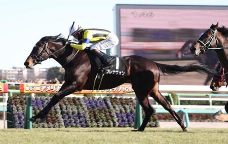 　若竹賞を勝利したブレナヴォン