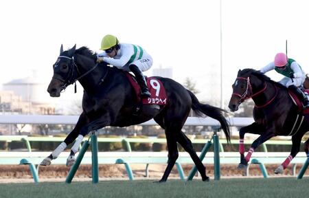 　後続を突き放すショウヘイ（左）