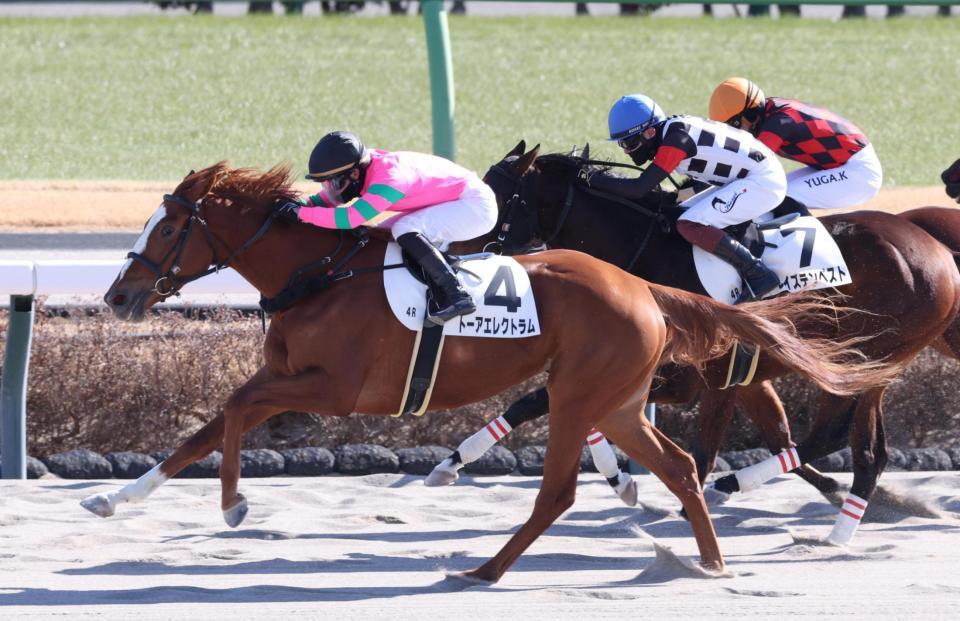 　外から突き抜けるトーアエレクトラム（手前）
