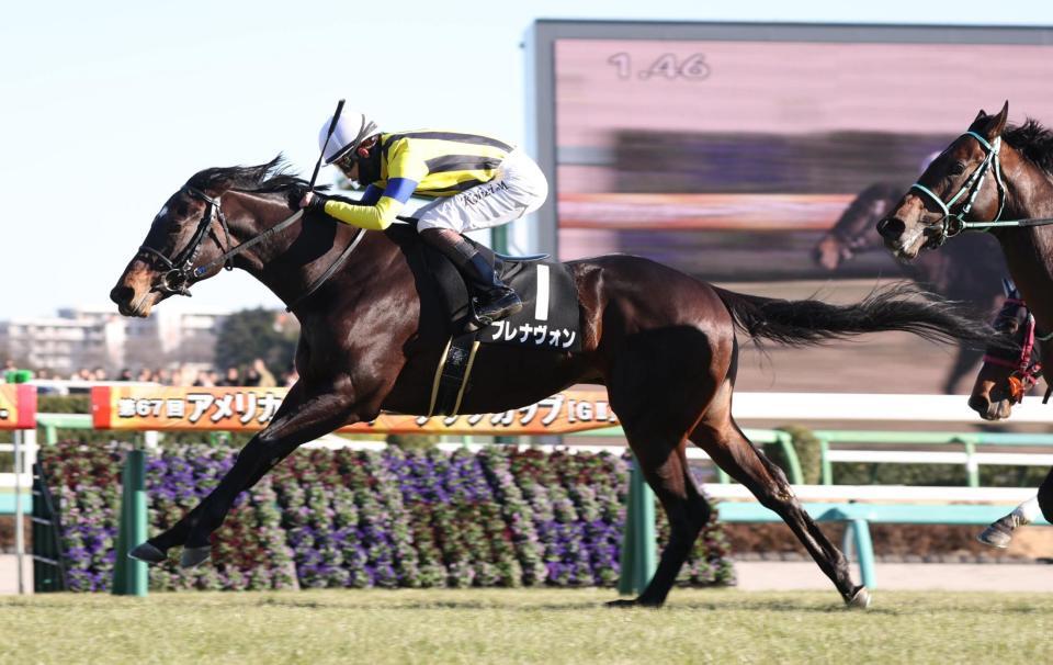 　若竹賞を勝利したブレナヴォン