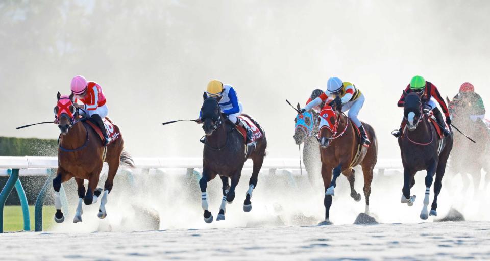 　粘るサンデーファンデー（左端）をとらえるロードクロンヌ（中央）＝撮影・石湯恒介