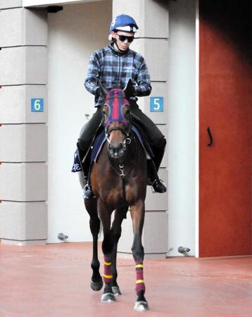 エンブロイダリーは阪神牝馬ＳからヴィクトリアＭか安田記念へ