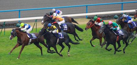 ０６年マイルＣＳ、ダンスインザムードをクビ差かわしゴールするダイワメジャー（左端）。右端は３着・シンボリグラン＝０６年１１月