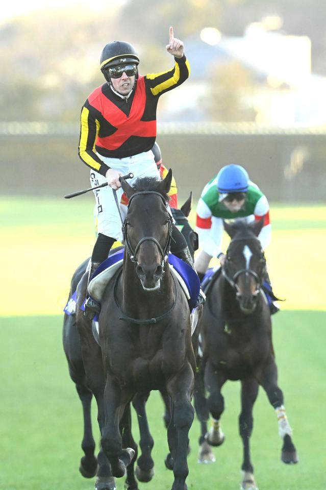 有馬記念を制したミュージアムマイル（２５年１２月）