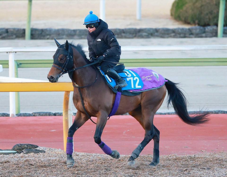 　重賞初Ｖを狙うロードフォアエース