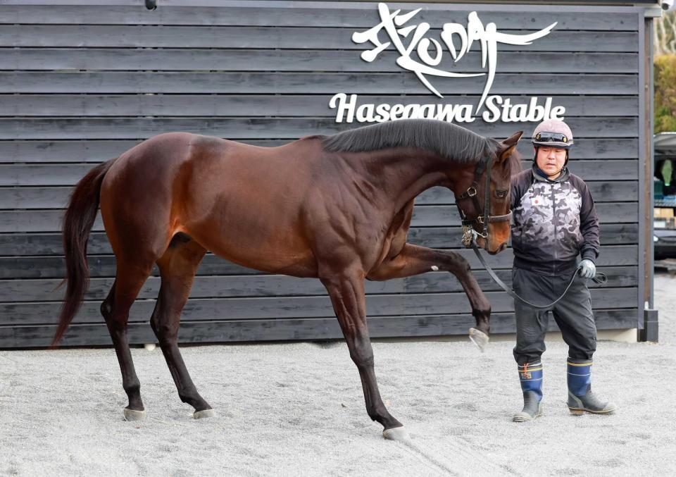 　Ｖデータを全てクリアしたマテンロウコマンド