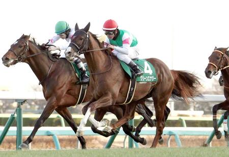 　京成杯を快勝したグリーンエナジー（手前）