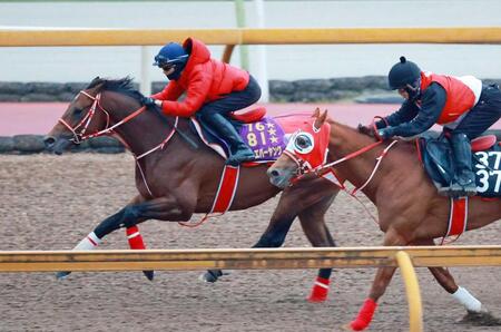 坂井を背に栗東ＣＷで力強く伸びたフォーエバーヤング（左）＝撮影・石湯恒介