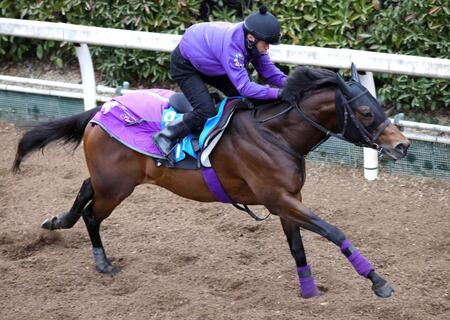 厩舎悲願のスプリント重賞制覇を狙うロードフォアエース