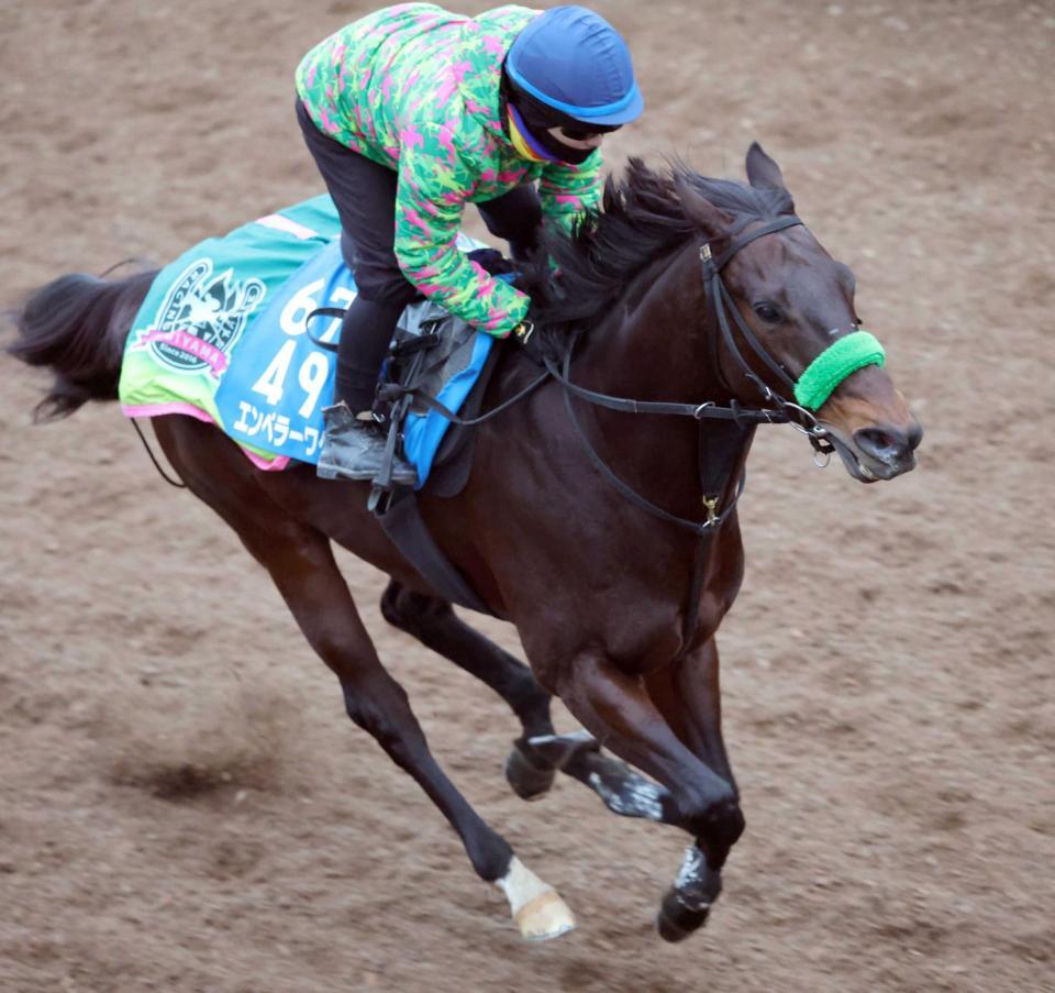 栗東坂路でしまい重点に追われたエンペラーワケア
