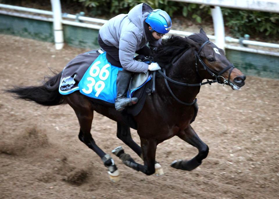 ＯＰ連勝の勢いで重賞初制覇を狙うインユアパレス（撮影・坂部計介）