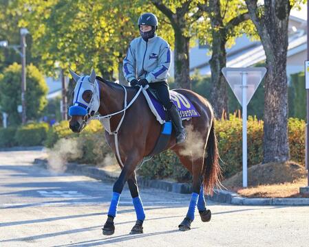 　メイショウタバル